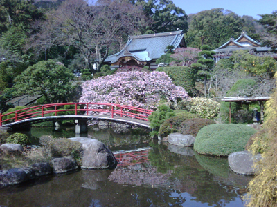 お庭がキレイな松月院