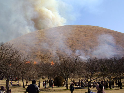 山焼き 大 室山 【2022年】第43回大室山山焼きは強風のため3月13日（日）に再々々延期→無事終了しました